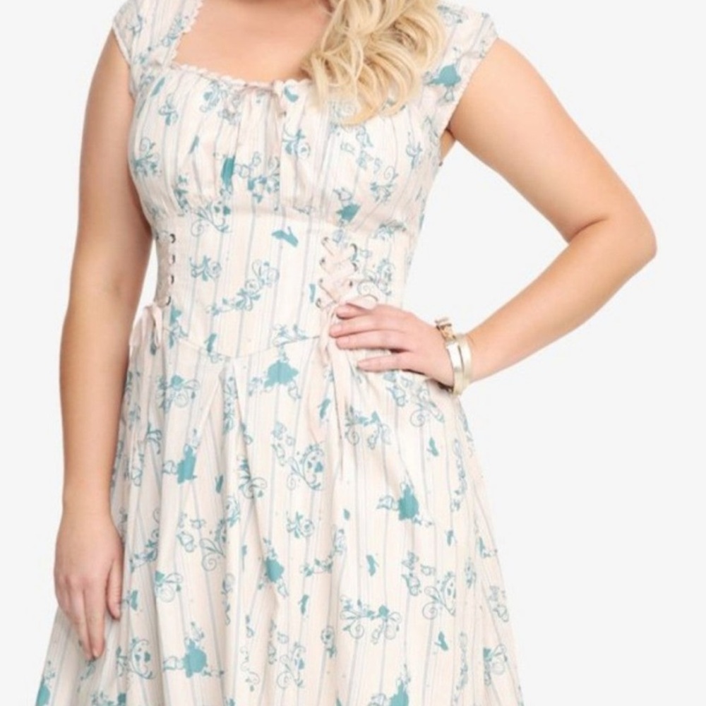 Cinderella peasant dress
